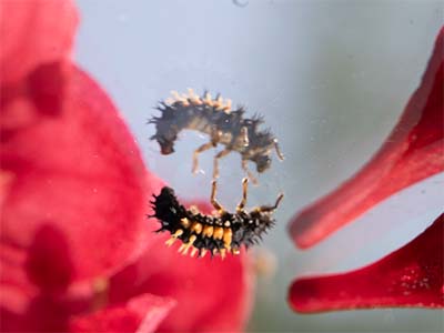Bild von einem Fotograf aus Solothurn