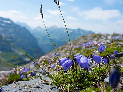 Bild von einem Fotograf aus Solothurn