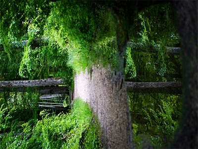 Bild von einem Fotograf aus Solothurn