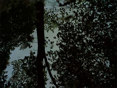 Bild von einem Fotograf aus Solothurn