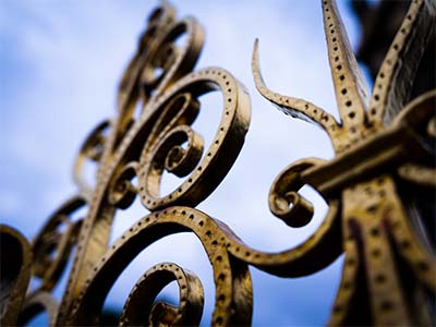 Bild von einem Fotograf aus Solothurn