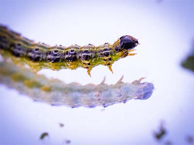 Bild von einem Fotograf aus Solothurn
