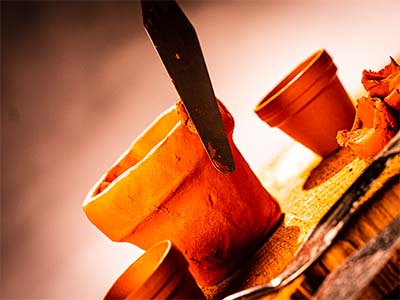 Bild von einem Fotograf aus Solothurn